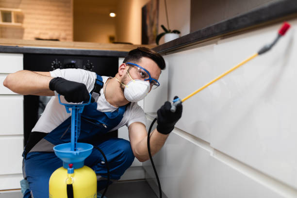 Best Wasp Removal Services  in Alton, TX