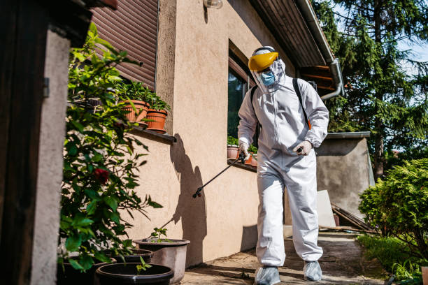 Best Commercial Pest Control Services  in Alton, TX