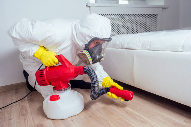 Best Pest Prevention Services  in Alton, TX