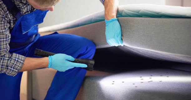 Best Residential Pest Control  in Alton, TX