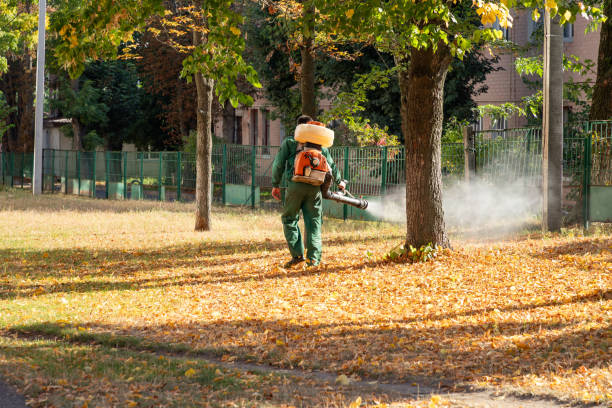 Best Mosquito Control Services  in Alton, TX